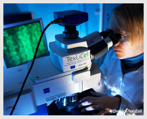 Plateforme technologique cellulose projet R&D  FEDER TekLiCell